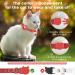 Premium Airtag Cat Neck Band - Reflective Safety Buckle & Holder for Kittens & Puppies (Red) - International Shipping - Buy Online on GoSupps.com