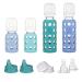 Lifefactory 4 Starter Baby Bottle Set in Mint/Blanket & in Kale/Blueberry Flat & Sippy Caps Stage 2 Nipples 10 Count 10 Count (Pack of 1) Mint/Blanket