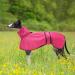 Buy Geyecete Waterproof Greyhound Rain Jacket - Reflective Windproof Coat for Whippets & Greyhounds | XXL 3XL (Back Length: 76-79cm) - Pink - Buy Online on GoSupps.com