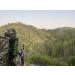 Slayer Calls Elk Bugle Tube - Realistic Wide Range Sound | Black Dark Camo Cover - Buy Online on GoSupps.com