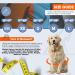 TOUGHDOG Explorer Dog Harness | No Pull, Adjustable, Padded, Durable | Reflective, Easy On/Off | Medium Storm Grey - Buy Online on GoSupps.com
