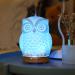 Inroran's ceramic aromatherapy diffuser with owl motif 200 ml ultrasound cool fog fragrance essential oil humidifier with intermittent fog and LED 7 colors changing night lights