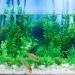 Ctpeng 23-Piece Artificial Aquarium Plants - Green & White Plastic Aquarium Decoration for International Shipping - Buy Online on GoSupps.com