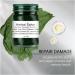 Organic Comfrey Salve for Bone Healing | Herbal Relief - 1pc | Shop Internationally - Buy Online on GoSupps.com