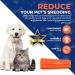 Equigroomer 5 (12.7cm) Orange Pet Grooming Tool for International Shipping - Buy Online on GoSupps.com
