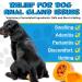 Anal Gland Support Supplement for Dogs 375G Dog Diarrhea Support Supplements Dog Analgland Digestive Support Supplement Treatment Chews & Healthy Bowel Function with Digestive Enzymes & Probiotics - Buy Online on GoSupps.com
