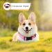 Heele Reflective Dog Collar | Soft Neoprene Padded Nylon for Small to Large Dogs | Adjustable 40-66 cm | Pink - Buy Online on GoSupps.com