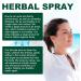Googeer Herbal Tension Cleaning Fog & Lung Support Spray - 100% Natural 4-Week Repair - 3 Bottles for Lung Health - Buy Online on GoSupps.com