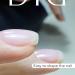Didier Lab - Premium Glass Solid Builder Gel for Nails - Hard Gel Builder for Extension - Nail Strengthener - LED UV Builder Gel for Nails - Split Nail Repair - Nail Hardener Gel - 15 ml 15 ml (Pack of 1) Glass - Buy Online on GoSupps.com