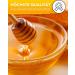 5 g Bee Balm Lip Balm with Cocoa by Nordbechen - Buy Online on GoSupps.com