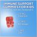 Echinacea Plus Vitamin C & Zinc Gummies for Kids - 90 Count | Nature's Nutrition - Buy Online on GoSupps.com
