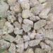 Natural Crystal Rough Natural Angel Quartz Crystal Cluster Rainbows Quartz Natural Stones and Minerals - Buy Online on GoSupps.com