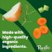 Pacific Foods Organic Bone Broth Original Chicken 8oz Cartons 12-Pack - Keto Friendly Chicken Bone Broth, 8 Fl Oz (Pack of 12) - Buy Online on GoSupps.com