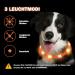 Nepfaivy Luminous Hand Hund USB Charging Dog Collar Waterproof LED Collar with Adjustable Length & 3 Safety Lighting Modes Orange Silicone for Dogs - Buy Online on GoSupps.com