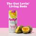 FHIRST Living Soda Taster Pack | Probiotic/Prebiotic Soda for Gut Health| Ginger Mandarin Cherry Vanilla & Passion Fruit Flavours | Zero Sugar or Sweetener | Mix pack - 12 x 330ml - Buy Online on GoSupps.com
