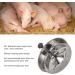 Buy Large Piglet Feeding Trough | Durable Pig Feeder Bowl & Food Tray for Sow Milk Feeding - Ideal for Livestock - Buy Online on GoSupps.com