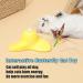 Pawsayes Interactive Indoor Cat Toy - 360 Rotating Butterfly & 2 Refill Packs - Best for Engaging Cats - Shop Now! - Buy Online on GoSupps.com