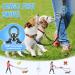 Slowton Adjustable Double Dog Leash for 2 Dogs 360 Rotatable Reflective No Splinters Perfect for Small Dogs (3-9 kg) Blue - Buy Online on GoSupps.com
