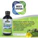 Nature's Answer Mullein-X Cough Syrup 4oz | Soothes Coughs & Clears Mucus | Respiratory Support | Non GMO & Gluten Free - Buy Online on GoSupps.com