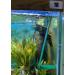 Green Acrylic Angelfish & Discus Breeding Slate - Amazon Sword Leaf Simulation for Fish Spawning - USA Made - Buy Online on GoSupps.com