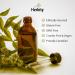 Cinnamon Herbal Tincture Liquid Extract Hand Crafted Natural Medicine Remedies Herb Formula Drops Non-GMO Vegan Gluten Free No Fillers (Cinnamomum zeylanicum) (100ml) 100 ml (Pack of 1) - Buy Online on GoSupps.com