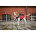 Wolters Easy Rain Jacket in Black/Red - Lightweight Waterproof Raincoat | 28 cm Back Length | International Shipping Available - Buy Online on GoSupps.com