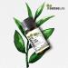 SenseLAB Tea Tree Essential Oil - 100% Pure Therapeutic Grade for Diffuser, Hair & Skin Care - Outdoor Protection - 10ml - Buy Online on GoSupps.com