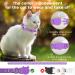 Buy Reflective Airtag Cat Collar with Holder & Bell - Safe Adjustable Design for Kittens & Puppies (Purple) | International Shipping Available - Buy Online on GoSupps.com