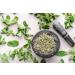 Sports equipment Mynatura Organic peppermint leaves dried I peppermint I whole leaves I peppermint tea I herbal tea I aroma I in bag 1000 g - Buy Online on GoSupps.com