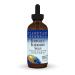 Planetary Herbals Echinacea-Elderberry Syrup 4 fl oz (128.28 ml)