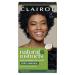 Clairol Natural Instincts Semi-Permanent No Ammonia Hair Dye 2 Black 2 Black 1 count (Pack of 1)