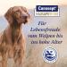 Canosept Joint Tablets for Dogs - Unique Formula with Green Lipped Mussel Glucosamine & Omega 3 - 80 Tablets for Joint & Bone Health Osteoarthritis Relief - Buy Online on GoSupps.com