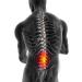 FitMad Neoprene Double Pull Lumbar Support Belt Brace - Small 22-27 - Back Pain Relief - Buy Online on GoSupps.com