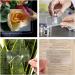 VOCIBO 12-Piece Credit Card Size Magnifying Glass - Perfect for Seniors & Children | Ideal for Reading Books Newspapers Maps - Lightweight & Portable - Buy Online on GoSupps.com