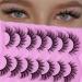 DSLONG Cat Eye Lashes Natural Fluffy Fox Eye Lashes 3D Curl Multi Layered Wispy False Lashes End Eye Elongated Effect Cat Eye Manga Lashes Look Like Eyelashes Extension (C02)