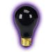 Zilla 75 Watt Incandescent Heat Bulb Night Black - Ideal for Reptile Enclosures - Buy Online on GoSupps.com
