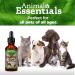 Animal Essentials Healthy Gut: Promote Digestive Health for Pets - Buy Online on GoSupps.com