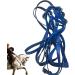 Halter Horse | Heavy Duty Tied Halter Adjustable Horse Safety Halter | Colorful Comfortable Padded Nylon Horse Halter for Equestrian Training Horse Care Buogint Blue - Buy Online on GoSupps.com