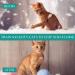 Segminismart Anti-Cat Scratch Spray | Protect Furniture Plants & Floors | Scratch-Resistant Solution for Cats - Buy Online on GoSupps.com