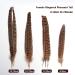 iHUFeather 20pcs Natural Pheasant Female Tails Feathers 6-8inch for DIY Crafts & Decor - Buy Online on GoSupps.com