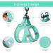 Buy Bella & Pal Small Dog Harness with Leash - Breathable Air Mesh Reflective Design Perfect for Puppies & Cats - Mint Green (S: 35-40cm) - Buy Online on GoSupps.com