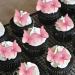 48 Pink Edible Butterflies for Cake Decoration | Alegre Tortendeko Perfect for Birthdays Cupcakes & Muffins - Buy Online on GoSupps.com