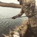Glacier Glove Waterproof Decoy Gloves - Realtree Camo Large | Shop Now - Buy Online on GoSupps.com