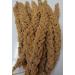 HIG Spray Millet 12ct
