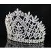 Daisy Clear Austrian Crystal Rhinestone Tiara Crown - Silver | Perfect for Bridal, Prom, Pageant - T1861 - Buy Online on GoSupps.com