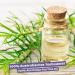 Tea Tree Oil 10ml Vegan 100% Pure Tea Tree Essential Oil from Australia Care for blemished Skin inflammatory Skin Conditions Anti-pimples and Acne - Buy Online on GoSupps.com