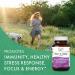 Pure Essence One n Only Women - 90 Tablets for Optimal Health & Wellness - Buy Online on GoSupps.com