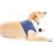 COODEO Dog Recovery Suit - Abrasion-Resistant Washable & Waterproof Sleeve for Pets | Wound Protection & Dryness - Buy Online on GoSupps.com