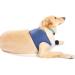 COOUTO Dog Recovery Suit - Abrasion-Resistant Waterproof Washable Sleeve for Pets | Prevent Wounds & Keep Dogs Dry (Size L) - Buy Online on GoSupps.com