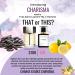 CHARISMA | Inspired by L'HOMME | Pheromone Perfume for Men | Extrait De Parfum | Long Lasting Dupe Clone Essential Oils Fragrance | Perfume De Hombre | (100 ml / 3.4 Fl Oz) 3.4 Fl Oz (Pack of 1) - Buy Online on GoSupps.com